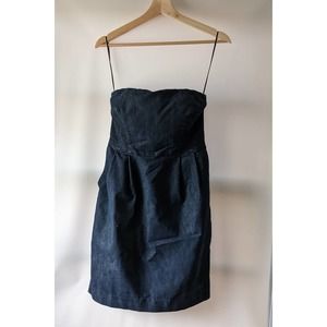 Express Denim Dress - Size 4